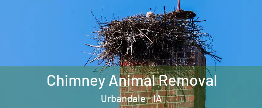 Chimney Animal Removal Urbandale - IA