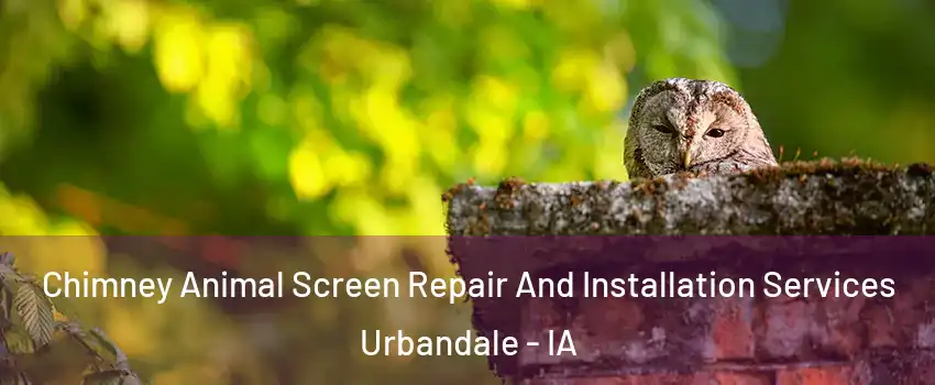  Chimney Animal Screen Repair And Installation Services Urbandale - IA