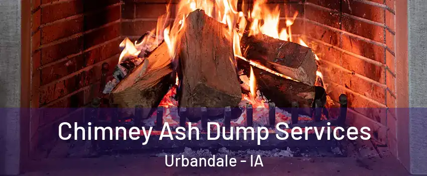 Chimney Ash Dump Services Urbandale - IA