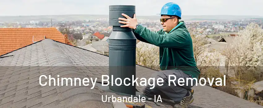 Chimney Blockage Removal Urbandale - IA