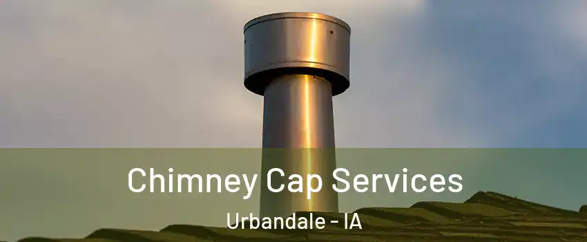  Chimney Cap Services Urbandale - IA