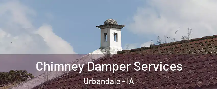  Chimney Damper Services Urbandale - IA