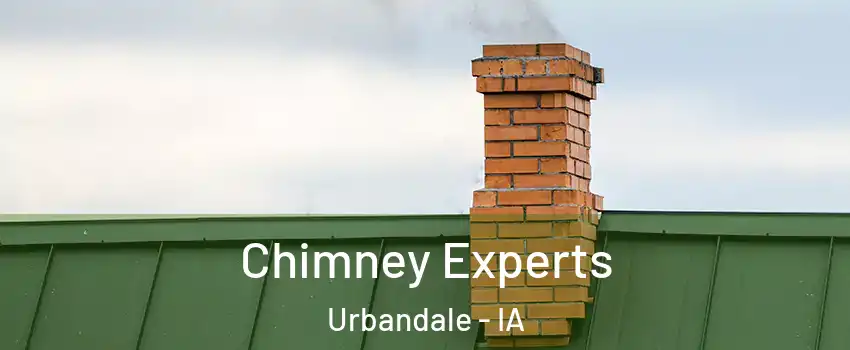 Chimney Experts Urbandale - IA