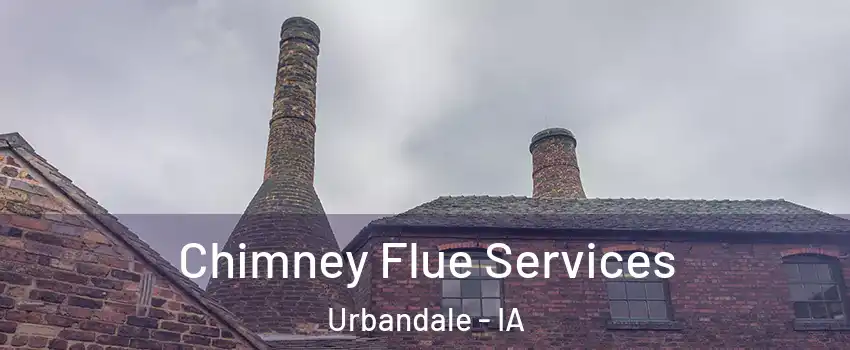  Chimney Flue Services Urbandale - IA