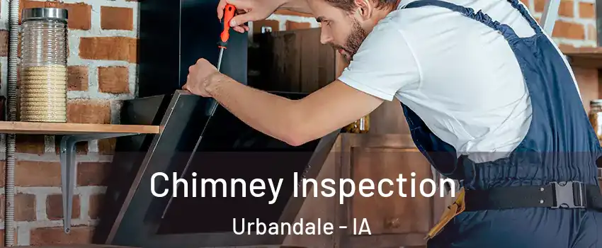  Chimney Inspection Urbandale - IA