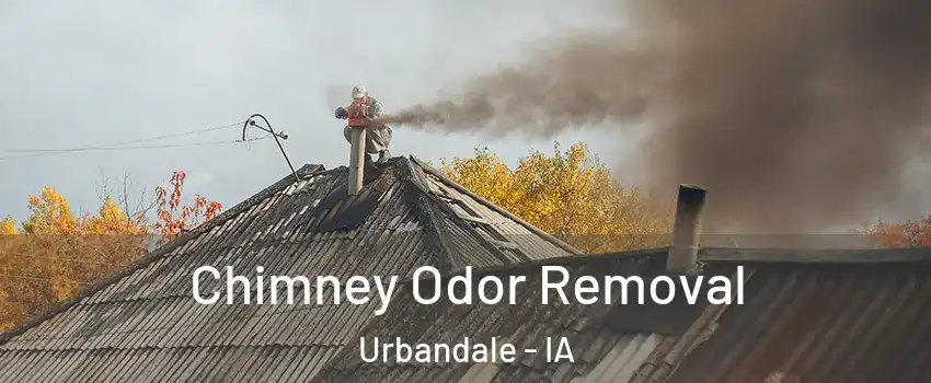  Chimney Odor Removal Urbandale - IA