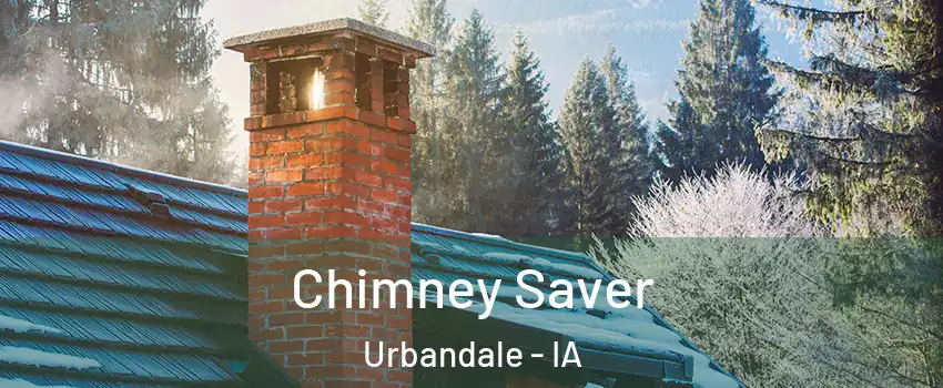  Chimney Saver Urbandale - IA