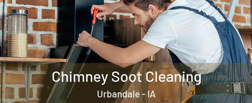  Chimney Soot Cleaning Urbandale - IA