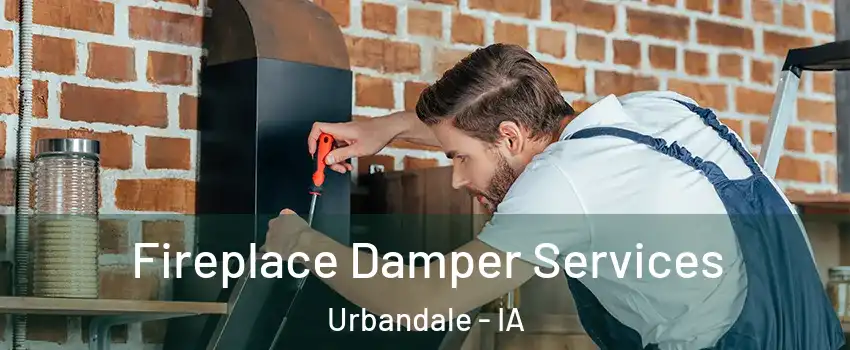  Fireplace Damper Services Urbandale - IA