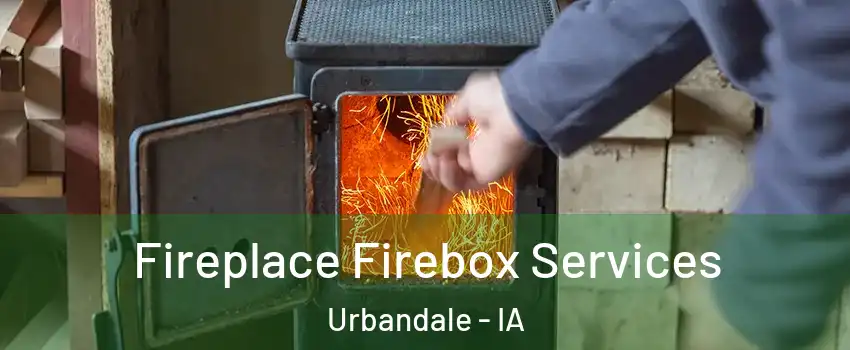  Fireplace Firebox Services Urbandale - IA
