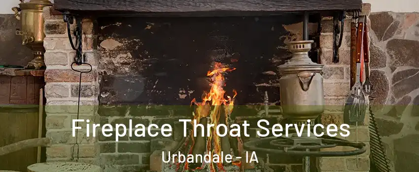  Fireplace Throat Services Urbandale - IA