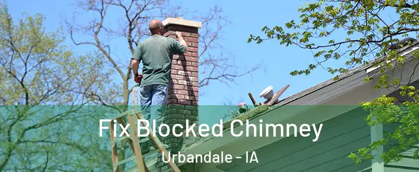  Fix Blocked Chimney Urbandale - IA