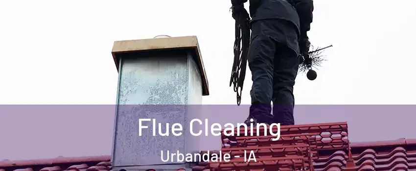  Flue Cleaning Urbandale - IA