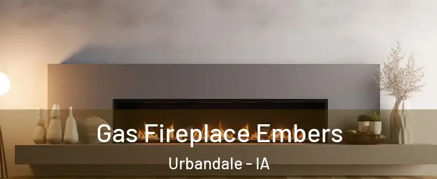  Gas Fireplace Embers Urbandale - IA
