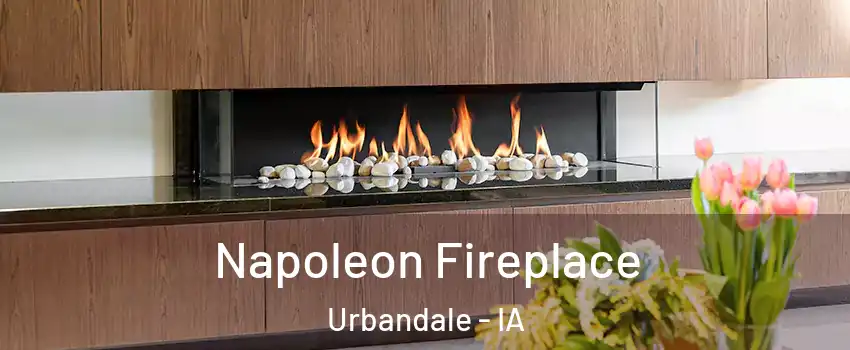  Napoleon Fireplace Urbandale - IA